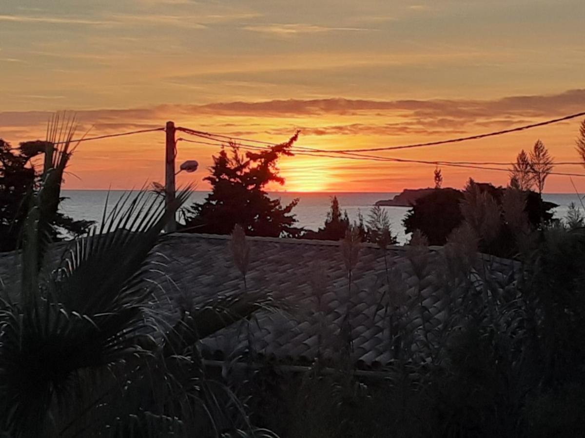Appartement Terrasse Vue Mer, Plage Gorguette A 1 Minute A Pied, Wifi,Clim Parking Collectif Санари-сюр-Мер Экстерьер фото